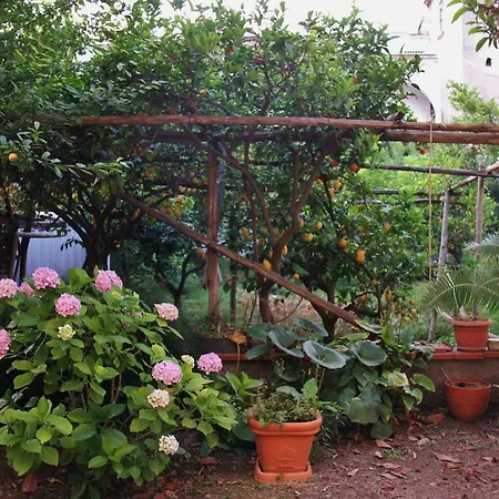 Day Dream Apartment Sorrento